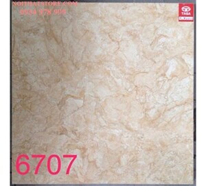 Gạch lát nền Tasa 60x60 SA6707