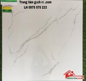 Gạch lát nền Tasa 80x80 8051