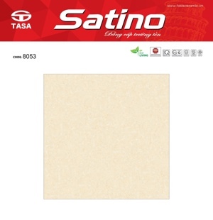 Gạch lát nền Tasa 80x80 8053