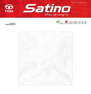 Gạch lát nền Tasa 80x80 8055