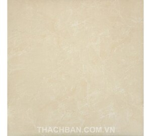 Gạch lát nền Thạch Bàn 60x60 MPF 026