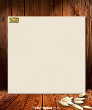 Gạch lát nền Trung Đô 60×60 MD6600