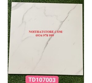 Gạch lát nền Trung Quốc 100x100 TD107003