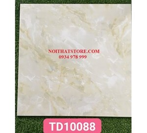 Gạch lát nền Trung Quốc 100x100 TD10088