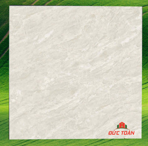 Gạch lát nền Trung Quốc 80x80 8528