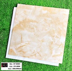 Gạch lát nền Trung Quốc 80x80 TP88003