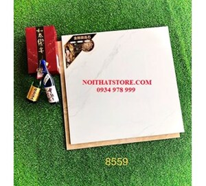 Gạch lát nền Trung Quốc 80x80 8559