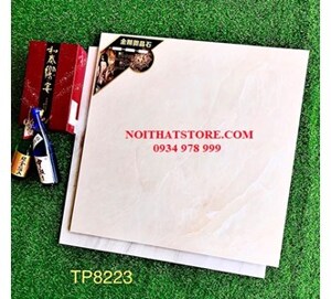Gạch lát nền Trung Quốc 80x80 TP8223