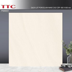 Gạch lát nền TTC PN66001 - 60x60