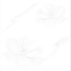 Gạch lát nền TTC PN66024 - 60x60