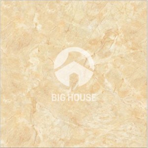 Gạch lát nền TTC PN66025 - 60x60