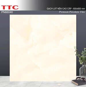 Gạch lát nền TTC PN66040 - 60x60