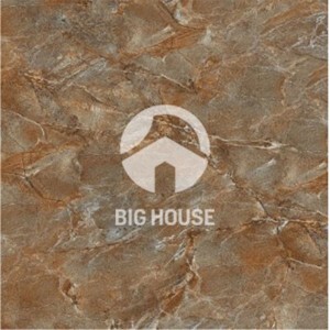 Gạch lát nền TTC PN66206 - 60x60