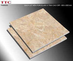 Gạch lát nền TTC PN88009 - 80x80