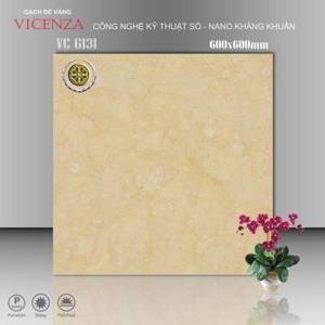 Gạch lát nền Vicenza 60x60 6131