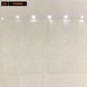 Gạch lát nền VICENZA 60X60 VC6999