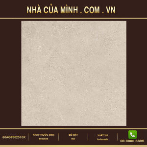 Gạch lát nền Vietceramic 60AGT602510R