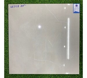 Gạch lát nền Viglacera 600x600 663018