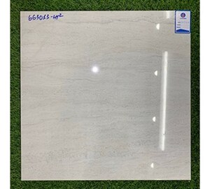 Gạch lát nền Viglacera 600x600 663013