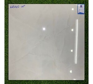 Gạch lát nền Viglacera 600x600 663015