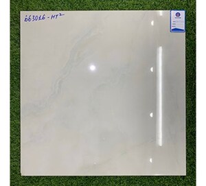 Gạch lát nền Viglacera 600x600 663016