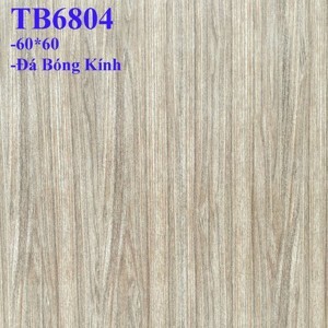 Gạch lát nền Viglacera 600x600 TB6804