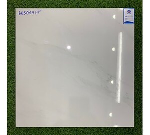 Gạch lát nền Viglacera 600x600 663014