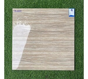 Gạch lát nền Viglacera 600x600 TB6804