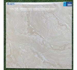Gạch lát nền Viglacera 600x600 TB6806
