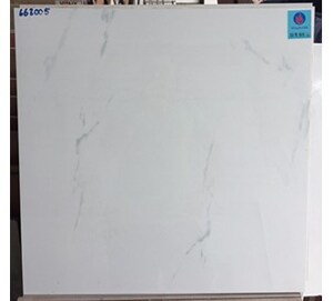 Gạch lát nền Viglacera 600x600 663011