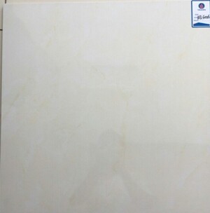 Gạch lát nền Viglacera 60×60 BQ6006