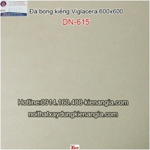 Gạch lát nền Viglacera 60×60 DN615