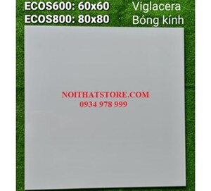 Gạch lát nền Viglacera 60x60 ECOS600