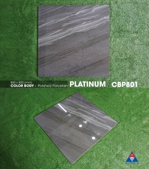 Gạch lát nền Viglacera 80×80 CBP801