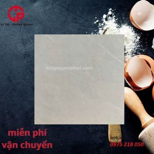 Gạch lát nền Viglacera 80x80 GP8801