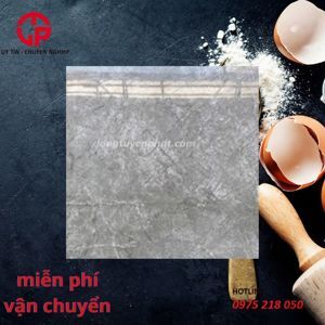 Gạch lát nền Viglacera 80x80 GP8802