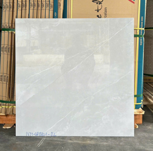 Gạch lát nền Viglacera 80x80 GP8801