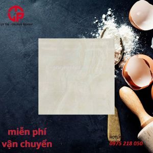 Gạch lát nền Viglacera 80x80 GP8801