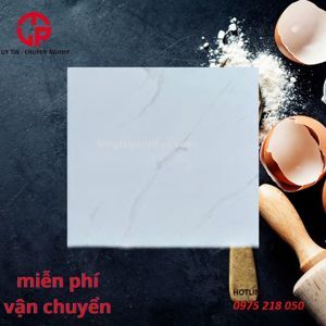 Gạch lát nền Viglacera 80x80 GP8801