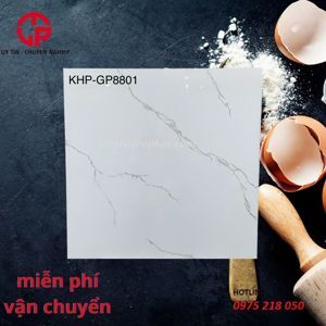 Gạch lát nền Viglacera 80x80 GP8801