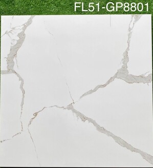 Gạch lát nền Viglacera 80x80 GP8801