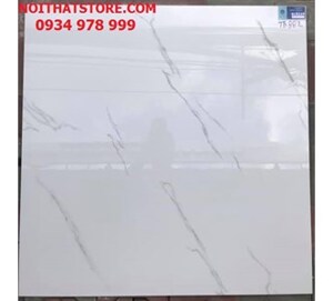 Gạch lát nền Viglacera 80x80 TB 882
