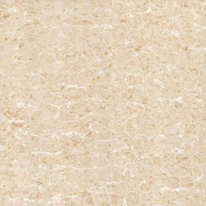 Gạch lát nền Viglacera TS2-621 - 60x60