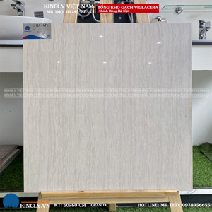 Gạch lát nền Viglacera TS3-617 - 60x60