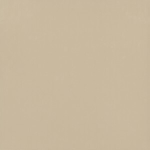 Gạch lát nền Viglacera TS5-602 - 60x60