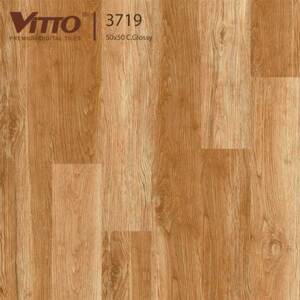 Gạch lát nền Vitto 50×50 3719