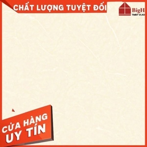 Gạch lát nền Vitto 60×60 3514