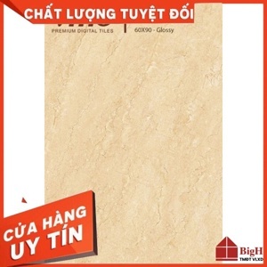 Gạch lát nền Vitto 60×90 3231