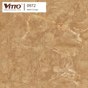 Gạch lát nền Vitto 60x60 0972