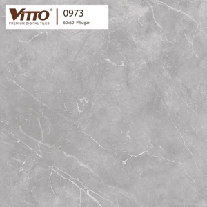 Gạch lát nền Vitto 60x60 0973